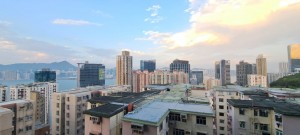 柏蔚山 NP28841