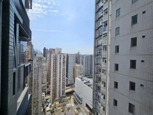 君譽峰 NP30639