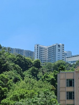 兆年大廈 NP28159