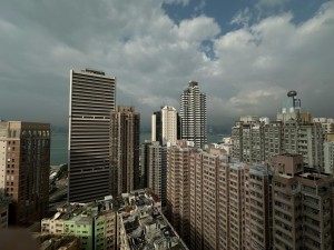 翰林峰 NP29483