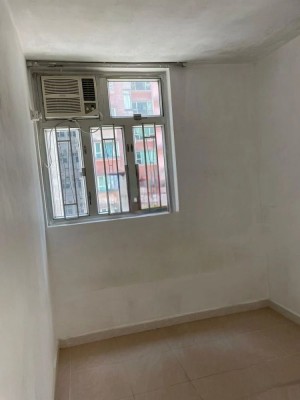 友福園 NP29815