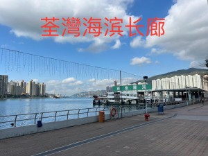 萬景峯 NP23343