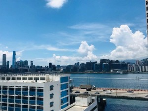 莊士維港軒  NP29599R