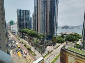 港濤軒 NP31281