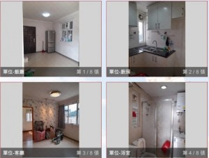 健威花園 NP12733