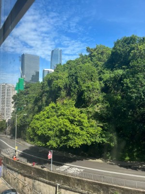 寶馬臺 NP30523
