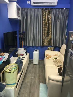 寶利大廈  NP31053